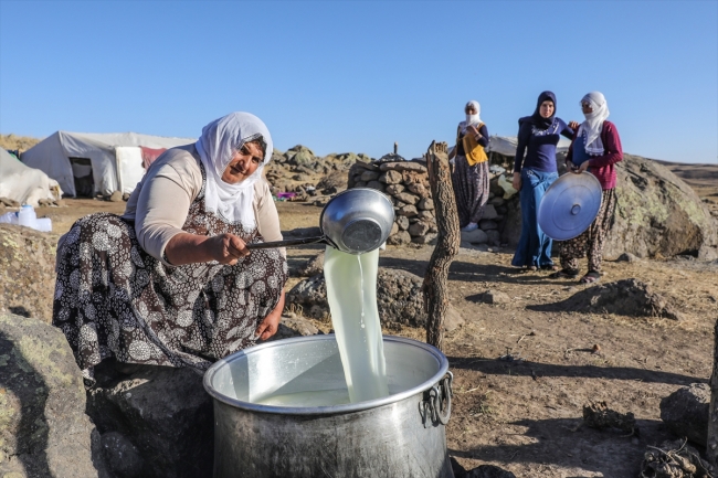 Yaylaların büyütüp beslediği insanlar çadırda yaşamlarını sürdürüyorlar